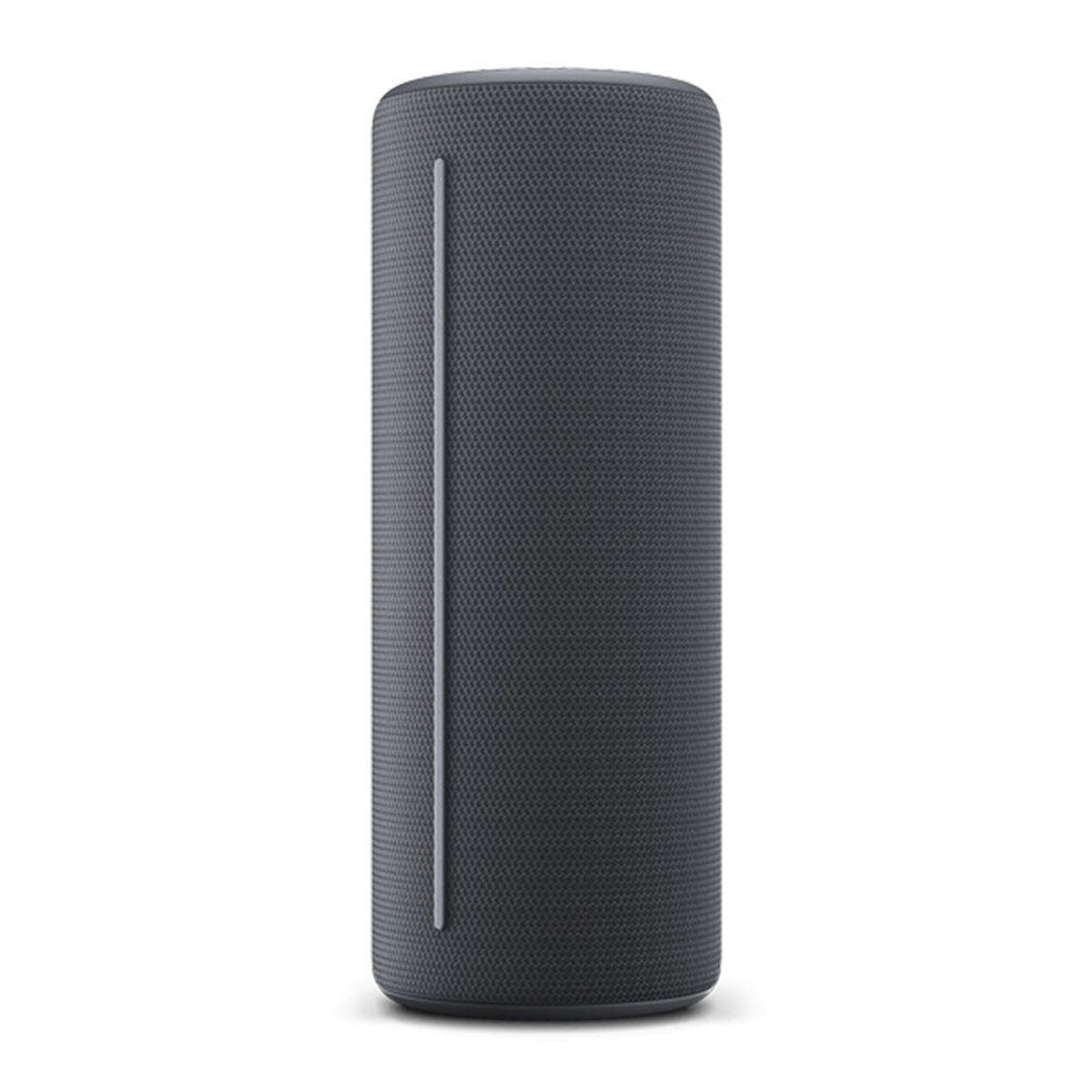 Bluetooth Speakers Loewe Grey