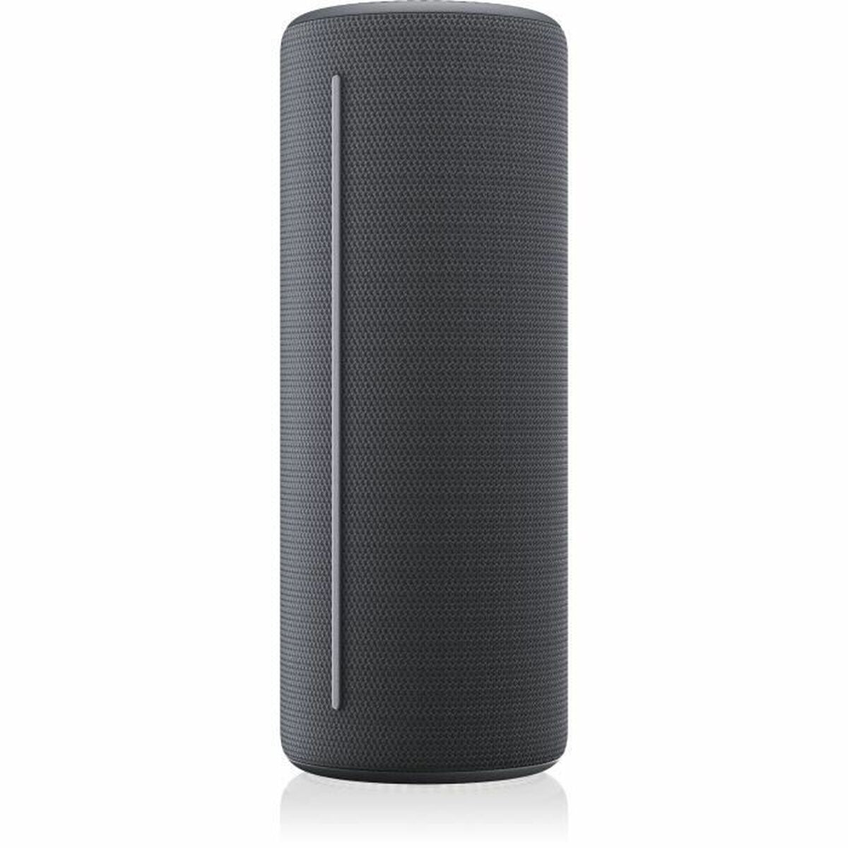 Bluetooth Speakers Loewe Grey