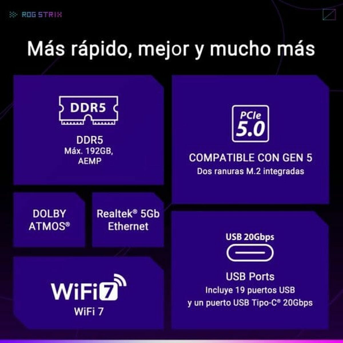 Motherboard Asus AMD AM5 AMD