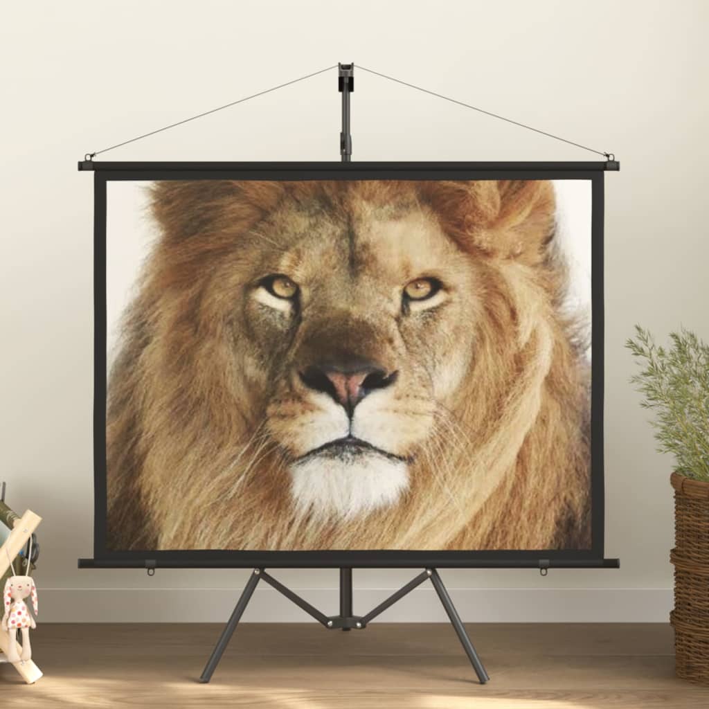 Projection screen Home Theater Screen Pull-down Projector Screen 4:3