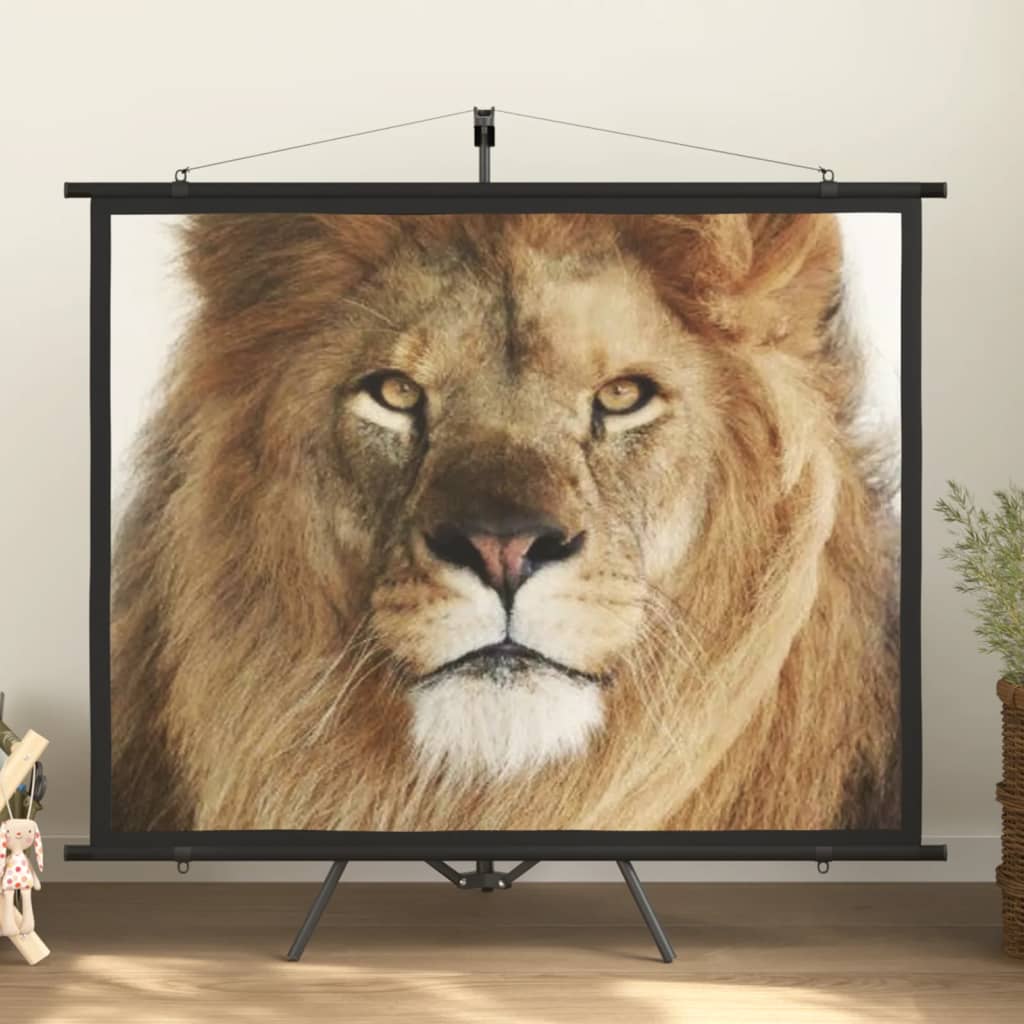 Projection screen Home Theater Screen Pull-down Projector Screen 4:3