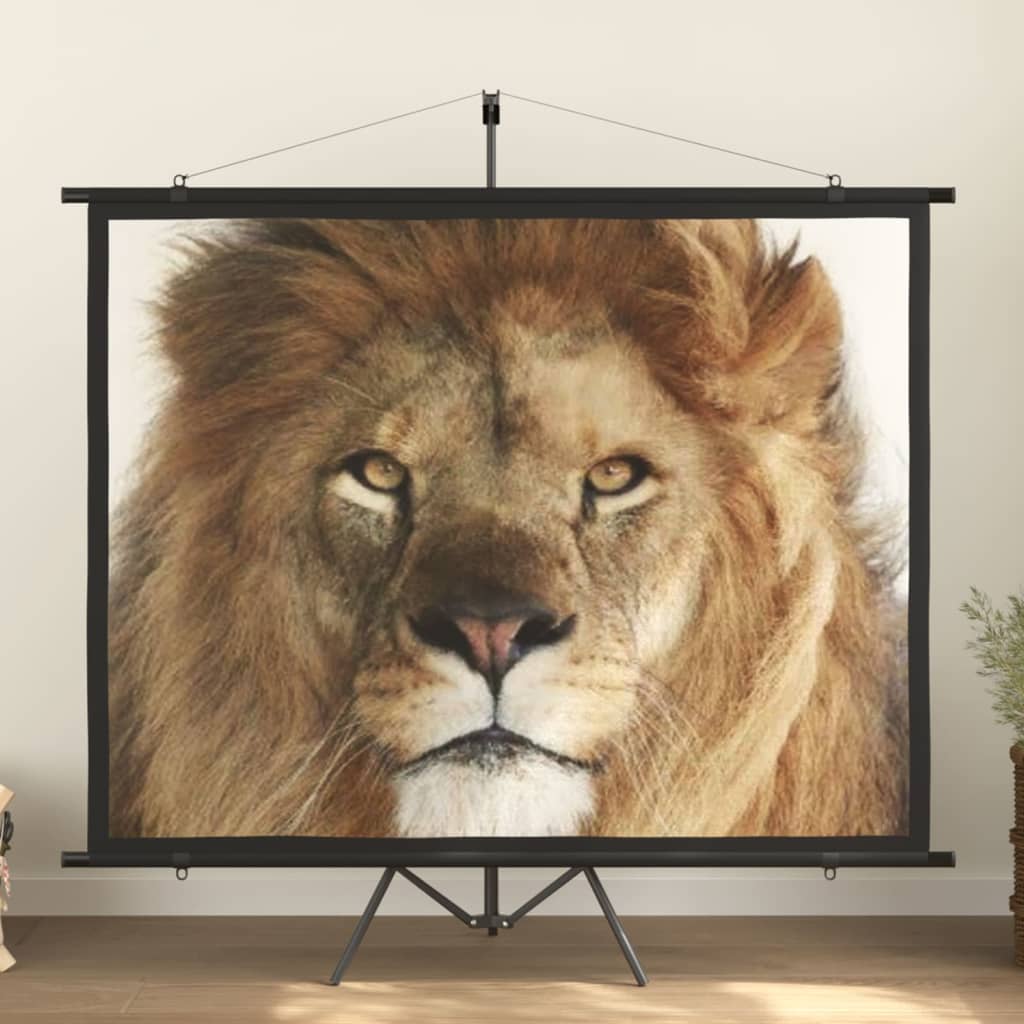 Projection screen Home Theater Screen Pull-down Projector Screen 4:3