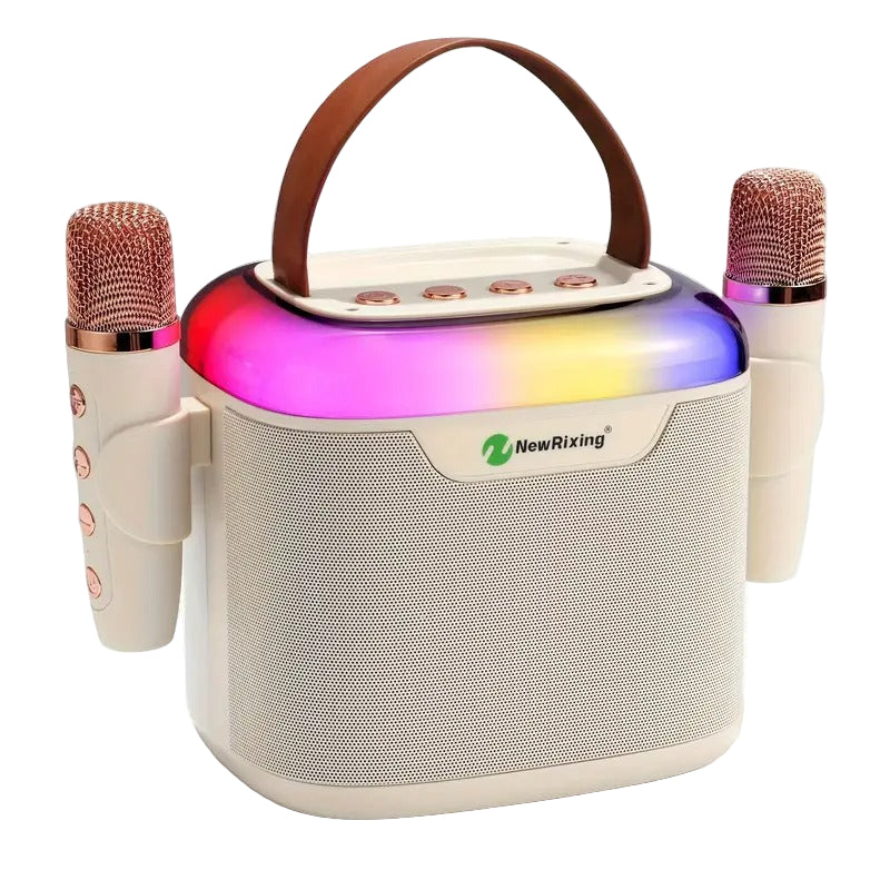 Wireless Portable Karaoke Machine with 2 Microphones